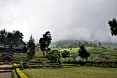 Plantations on steep slopes of the Mount Lawu.